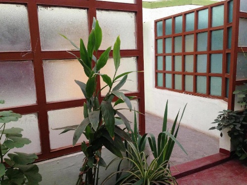 Hotel Charring Cross image 14