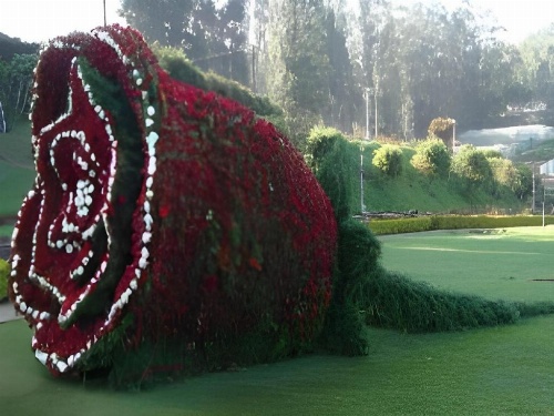 Hotel Charring Cross image 16